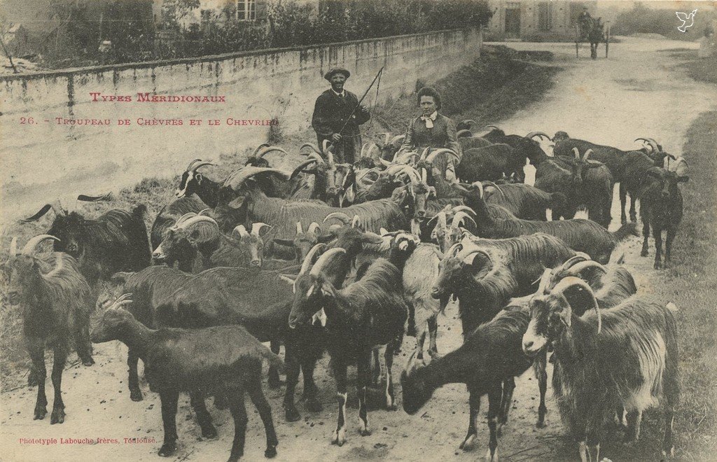 Z - M26 - Troupeau de chèvres et le chevrier.jpg